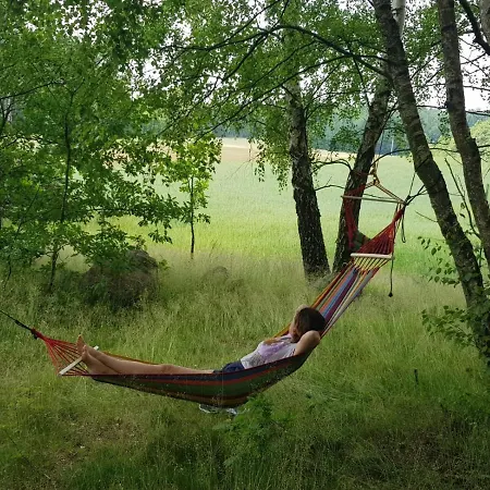 Szumi Szumles Krolewski