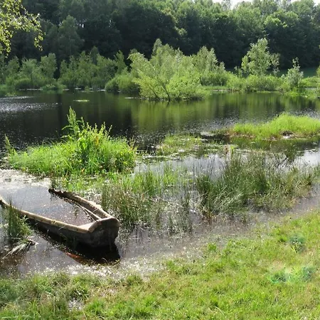 Szumi * Szumles Krolewski