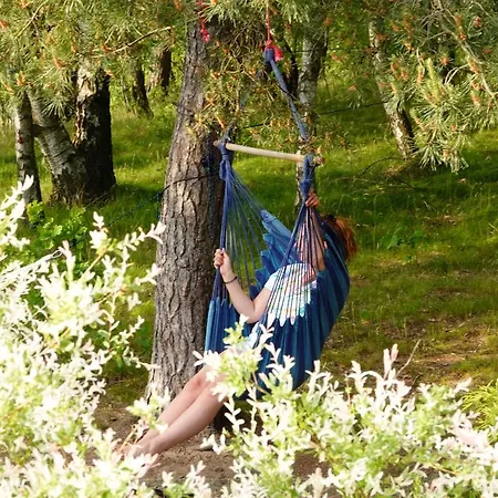 Szumi Szumles Krolewski