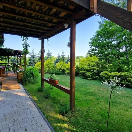 Szumi Szumles Krolewski