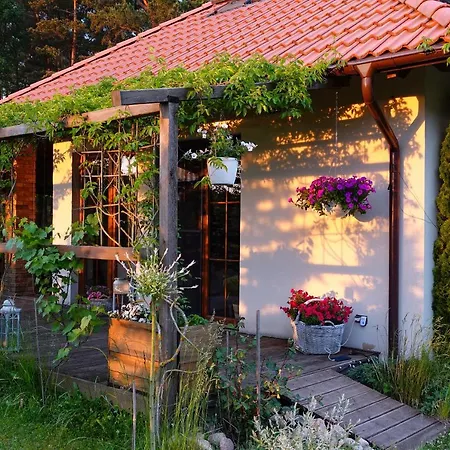 Szumi Szumles Krolewski