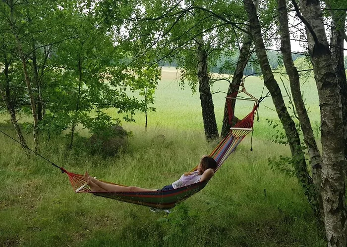 Szumi Szumles Krolewski