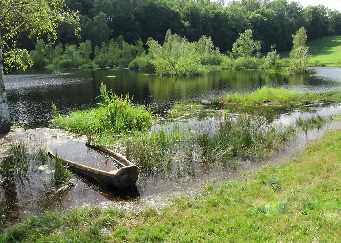 Szumi * Szumles Krolewski