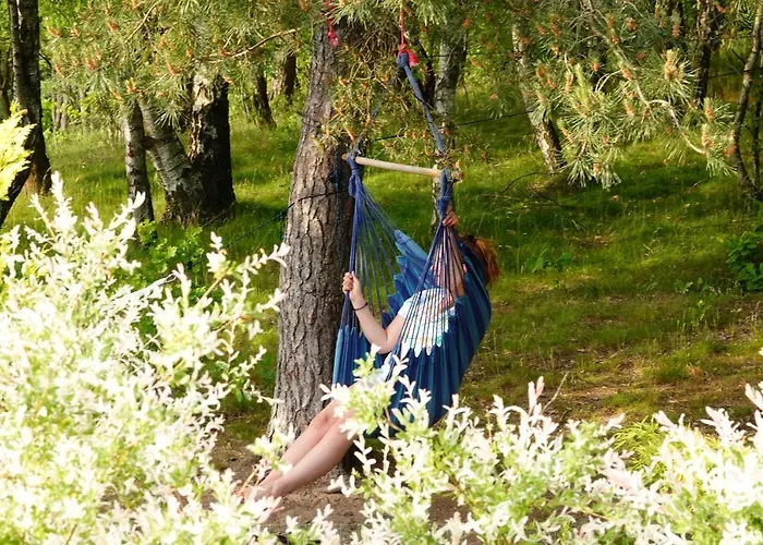 Szumi Szumles Krolewski