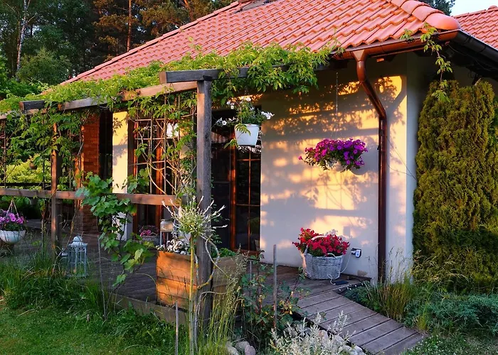 Szumi Szumles Krolewski